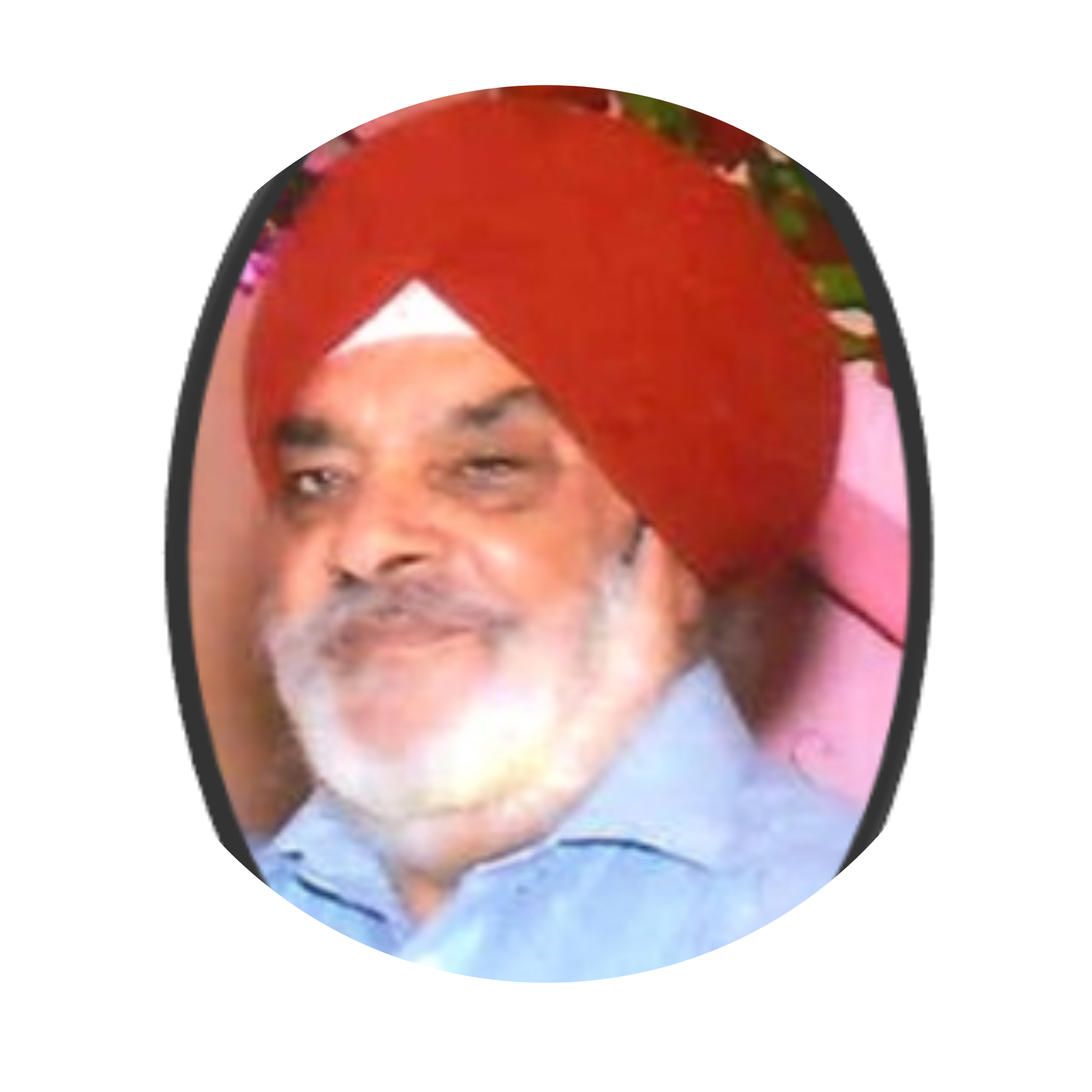 Green And White Modern Meet The Team Instagram Post Scaled